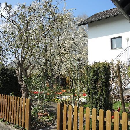 Apartement am Kirschbaum Mommenheim Exterior foto