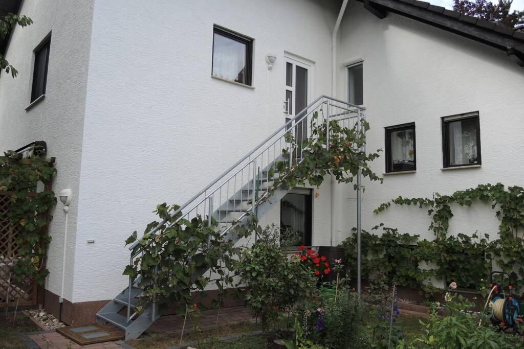 Apartement am Kirschbaum Mommenheim Exterior foto