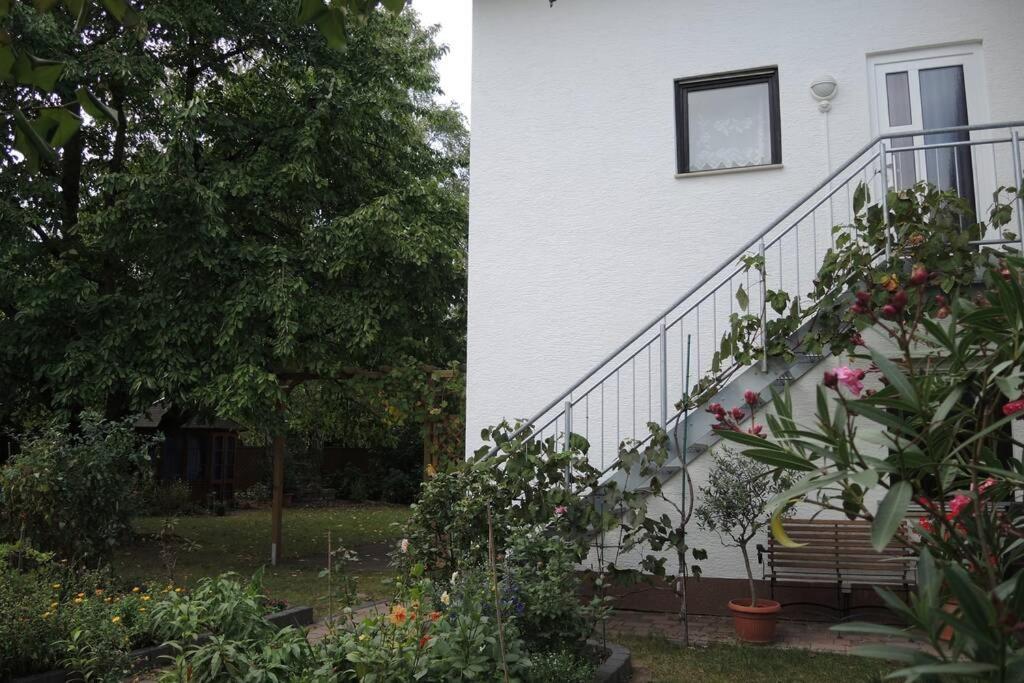 Apartement am Kirschbaum Mommenheim Exterior foto